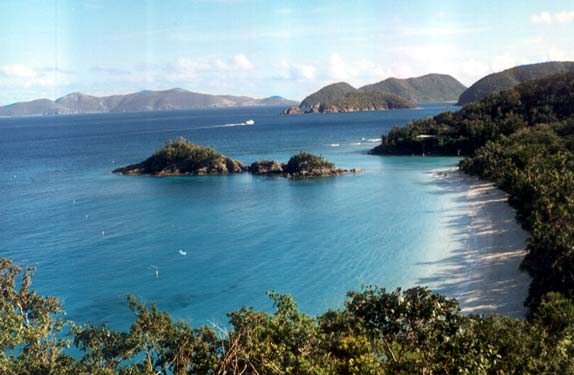 Trunk Bay